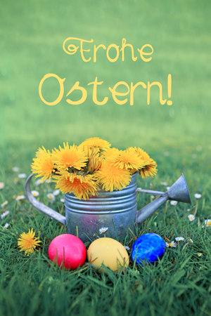 Easter eggs and watering can with dandelion flowers on green meadow.の写真素材