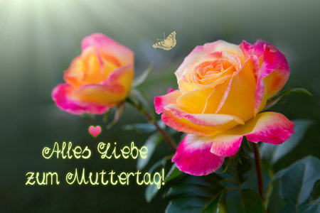 Happy Mothers Day phrase with a colorful roses.の写真素材