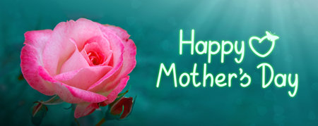 Happy Mothers Day phrase with a pink rose.の写真素材
