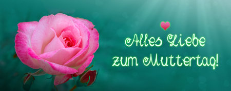 Happy Mothers Day phrase with a pink rose.の写真素材