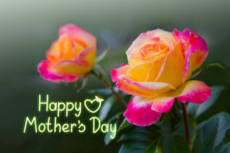 Happy Mothers Day phrase with a colorful roses.の写真素材
