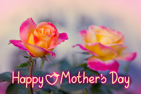 Happy Mothers Day phrase with a colorful roses.の写真素材