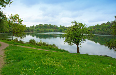 Spring morning meadow near the river with green trees on the shore.の写真素材