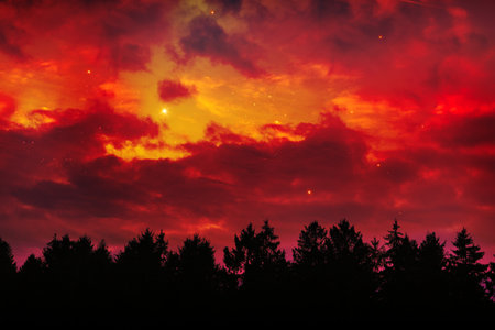 Trees silhouette on a red sky background.の写真素材