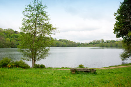 Spring morning meadow near the river with green tree on the shore.の写真素材
