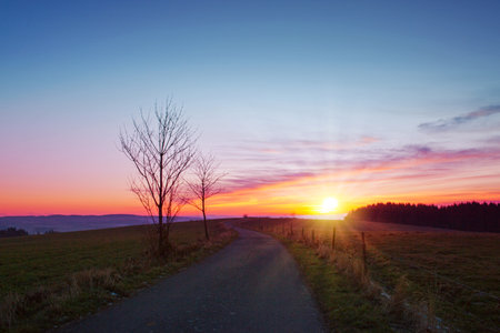 Colorful sunset scene featuring trees in the foreground in springの写真素材