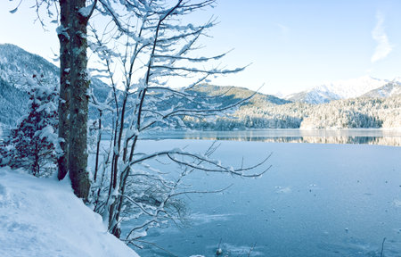 Winter trees and mountain reflection in the lakeの写真素材