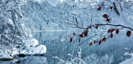 Forest lake and snow-covered winter trees .の写真素材
