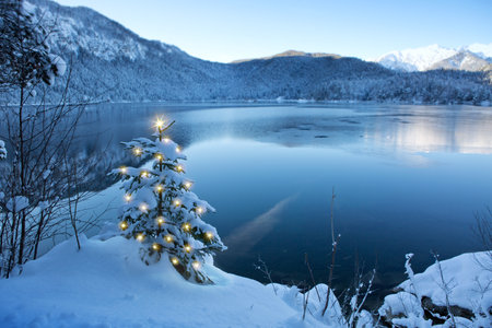 Christmas tree with lights and mountain reflection in the lake.の写真素材