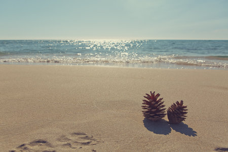 Sandy beach with two fir cones and turquoise water.の写真素材