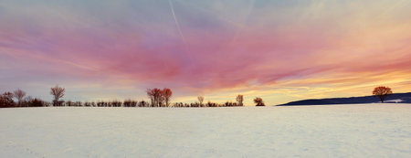 Snowy field with frost-covered trees in the background under a cloudy winter sky.