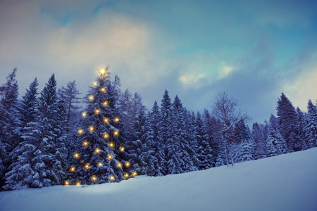 Winter forest with Christmas fir tree on snow.の写真素材