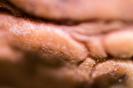 macro texture shoot from walnut shell. curves can clearly seen.