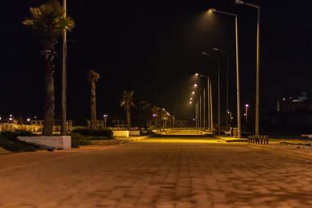 a night shoot from coastal road - palm trees and city lights. photo has taken at izmir/turkey.の写真素材