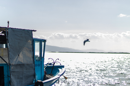 a good looking seascape shoot with some wooden boats - a bird flying. photo has taken at izmir/turkey.のeditorial素材