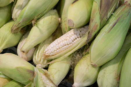 Fresh Corn at a City Market in Lima Peruの写真素材
