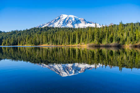 Reflection Lake is a popular spot to take pictures of Mt Rainierの写真素材