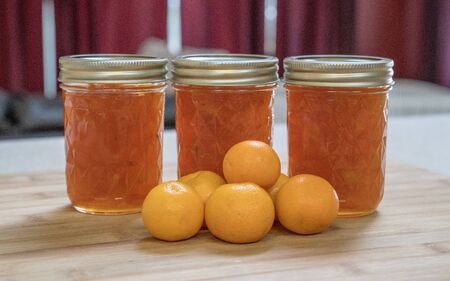 Kumquats have a sweet skin and sour interior but make great preserves or marmaladeの写真素材