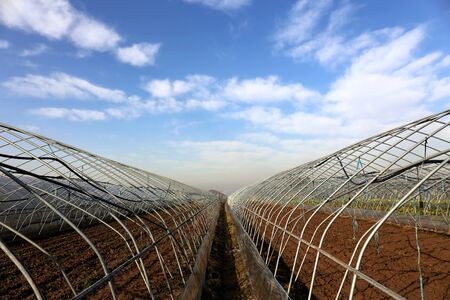 Steel shedsのeditorial素材