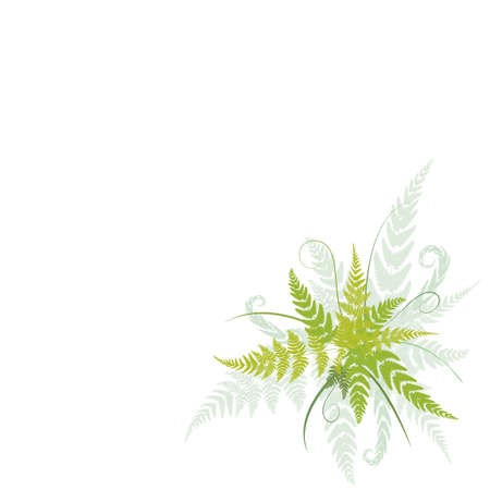 Jungle poster. Fern frond backgroundのイラスト素材