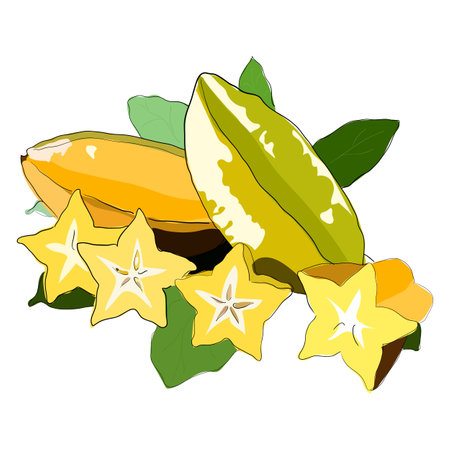 Carambola whole fruit and slice for package designのイラスト素材