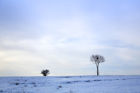 Snow view in the suburbsの写真素材