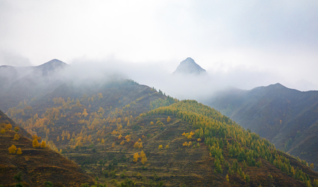 Sumu mountainの写真素材