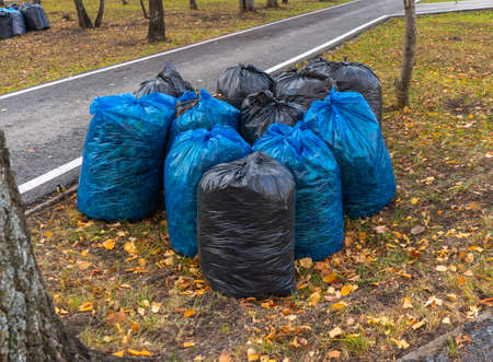 Garbage bags on the lawn in the Park. Autumnの写真素材