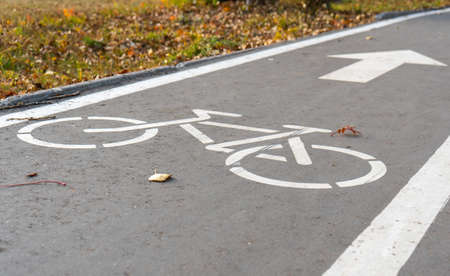 Bicycle path sign in the Park on the asphalt. Autumn