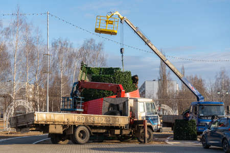 Agidel, RUSSIA - November 22, 2020: Municipal services erect a New Year tree in the city squareのeditorial素材