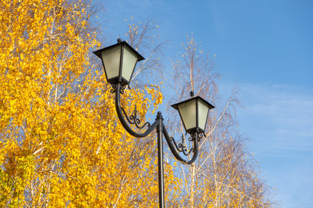 street lamp on the background of autumn foliageの写真素材