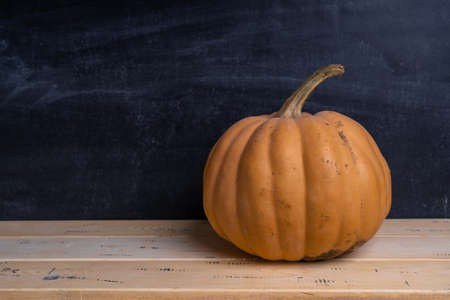 Orange pumpkin of a chalk board.の写真素材