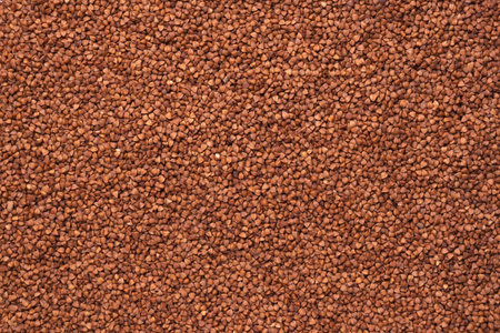 Buckwheat, top view texture. Copy-spaceの写真素材
