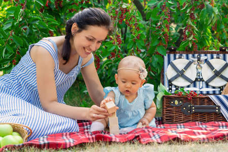 Mom and her newborn girl assemble a tower of wooden cubes at a picnic in the park. Mother and daughter for 10-12 months play educational games on a picnic blanketの写真素材