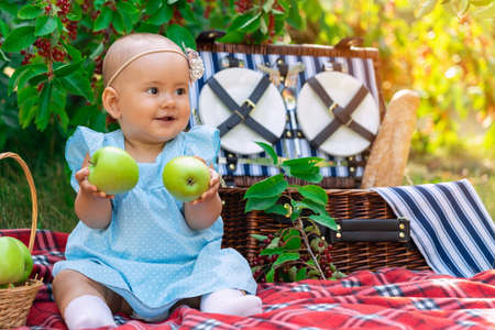 Newborn girl holding two green apples in her hands. Baby girl in a blue dress sits on a picnic blanket. Happy child on a picnic in the eveningの写真素材