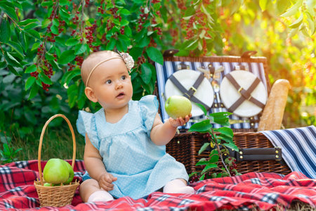 Newborn baby girl in a blue dress on a picnic. A 9-12 month old toddler holding a large green apple on his outstretched handの写真素材
