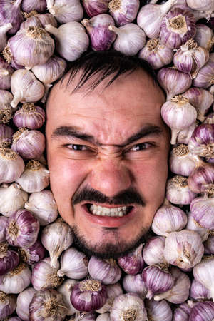 Portrait of an evil bearded man baring his teeth among garlic bulbsの写真素材