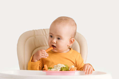 A baby eats boiled carrots while sitting on a feeding chair. Baby food in a vegan familyの写真素材
