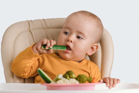 A baby on a feeding chair eats a fresh cucumberの写真素材