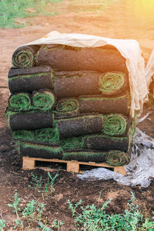 Pallet with lawn rollsの写真素材