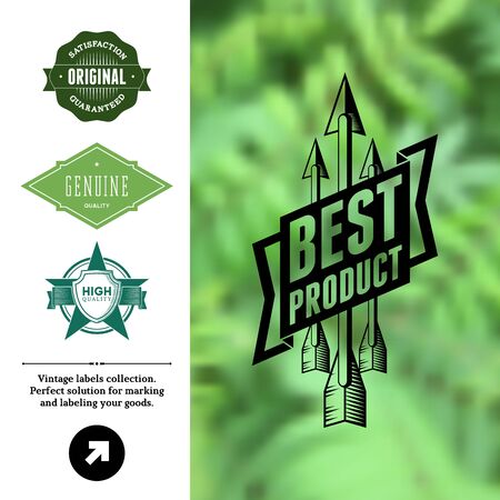 Vintage premium labels set tile structured on blurred backgroundのイラスト素材