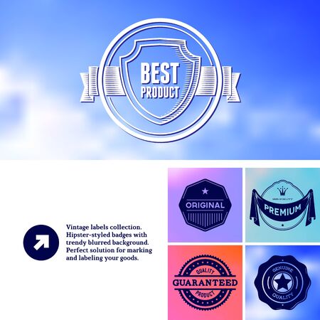 Vintage premium labels set tile structured on blurred backgroundのイラスト素材