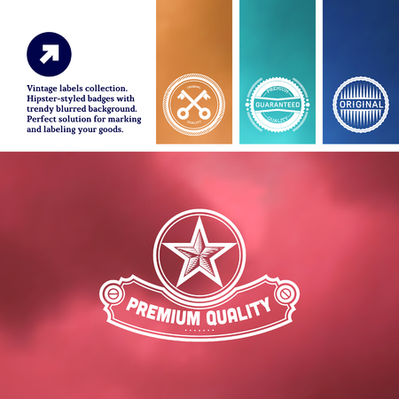 Vintage premium labels set tile structured on blurred backgroundのイラスト素材