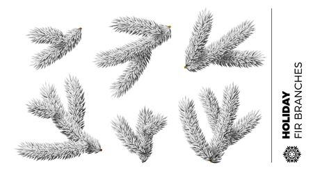 Collection of small fir tree branches for Christmas or New Year holidays ornamentのイラスト素材