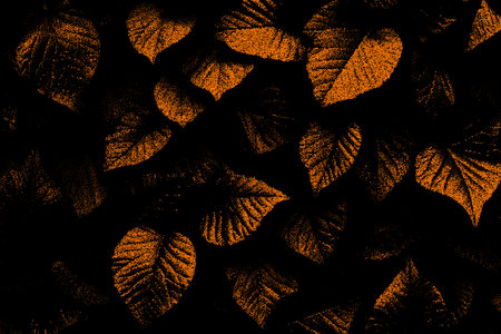 Autumn leaves frame in retro dotwork style. Border of fall leaves in vintage styleのイラスト素材