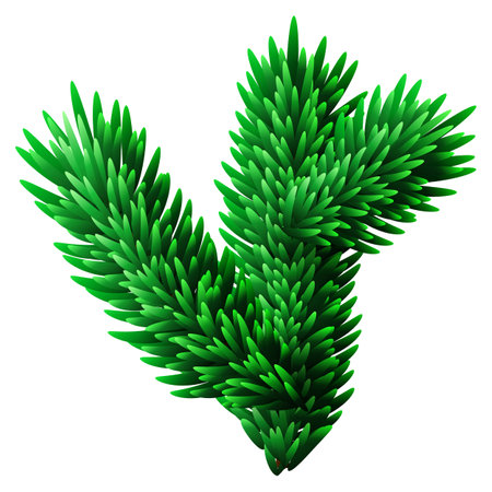 Small fir tree branch for Christmas or New Year holidays ornamentのイラスト素材