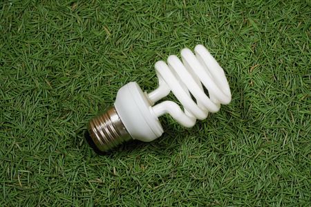 Energy saving omni lamp on conifer needles background