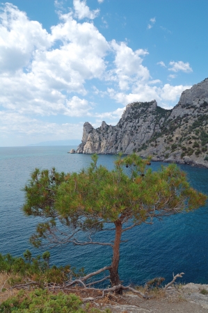Crimean mountain landscape with pine tree on the edgeの写真素材
