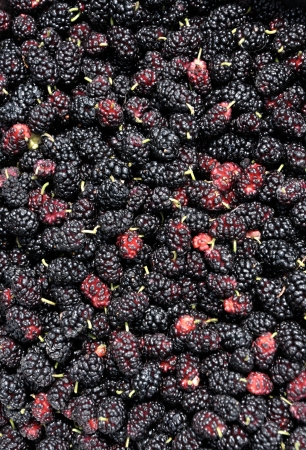 pile of black mulberry as a backgroundの写真素材
