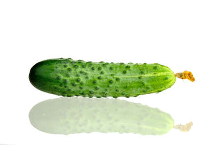 isolated cucumber with dry flower with real reflectionの写真素材